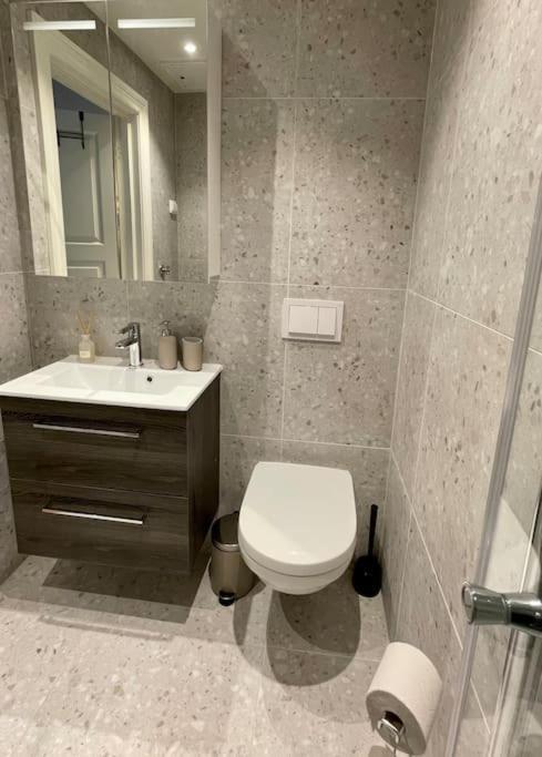 Modern And Cozy Studio Apartment In Central Oslo Exteriör bild