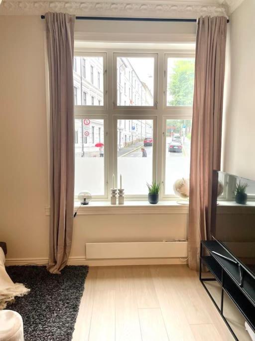 Modern And Cozy Studio Apartment In Central Oslo Exteriör bild
